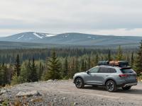 Car Rental and Road Trips