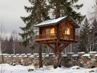 Unique Stays: Treehouses and Igloos