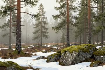 Illustrative header image for Wildlife Viewing and Safaris