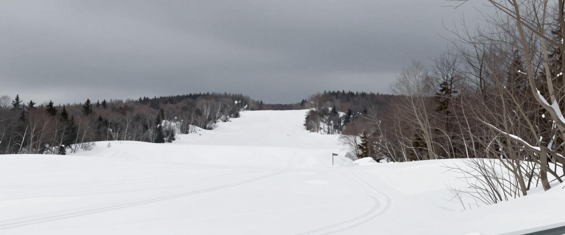 Skiing, Snowboarding, and Ice Skating