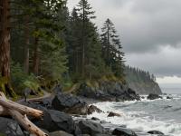 The Best Hiking Trails in Pacific Rim National Park