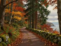 Autumn in Vancouver