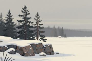 Wildlife Areas