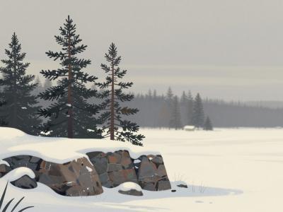 Wildlife Areas