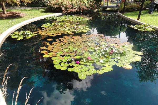 Royal Botanical Gardens