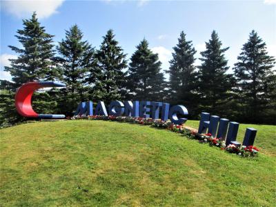 A large outdoor sign spelling "MAGNETIC HILL" in blue block letters with a red and blue horseshoe magnet sculpture to the left, set on a grassy slope with evergreen trees in the background.