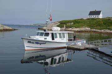Boat Tours