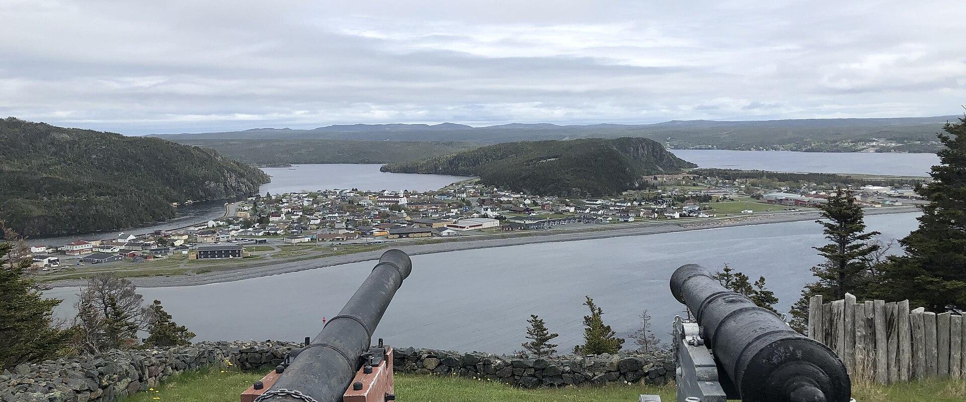 Two historical cannons on wooden carriages positioned on a grassy overlook with a stone wall, facing a coastal town and harbor surrounded by hills.