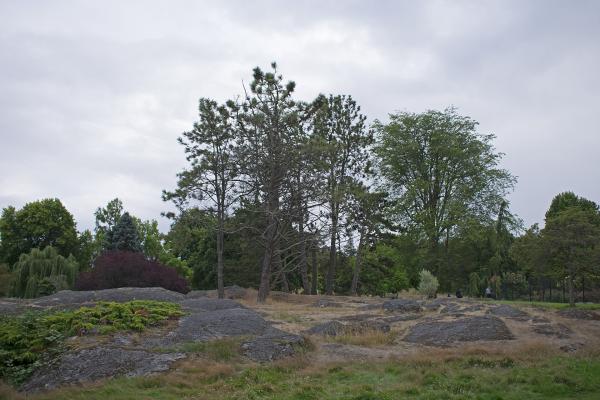 Beacon Hill Park