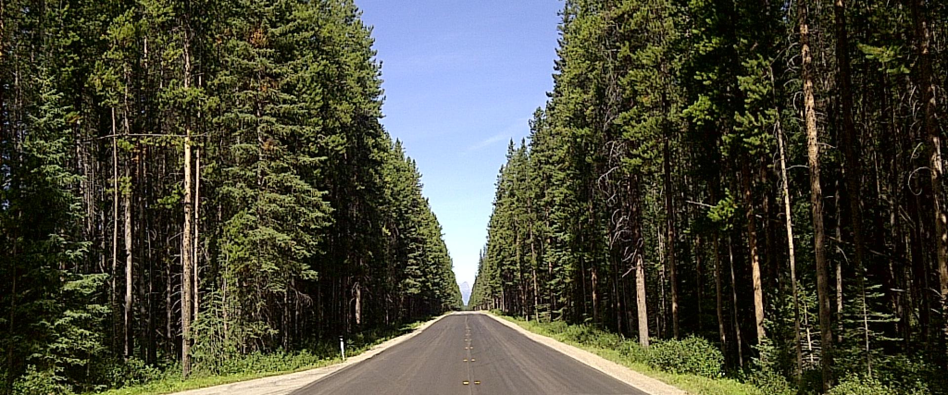 Bow Valley Parkway