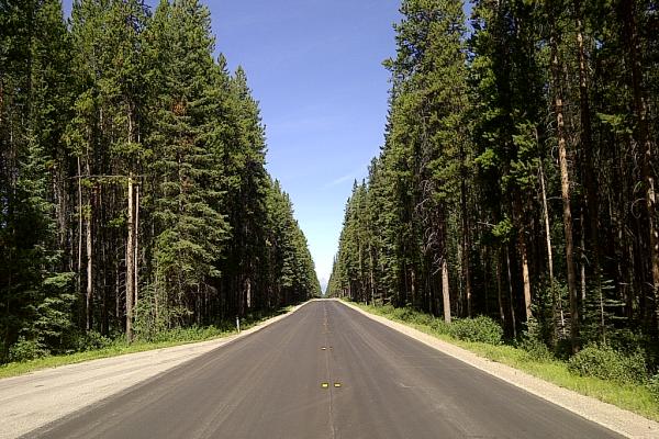 Bow Valley Parkway