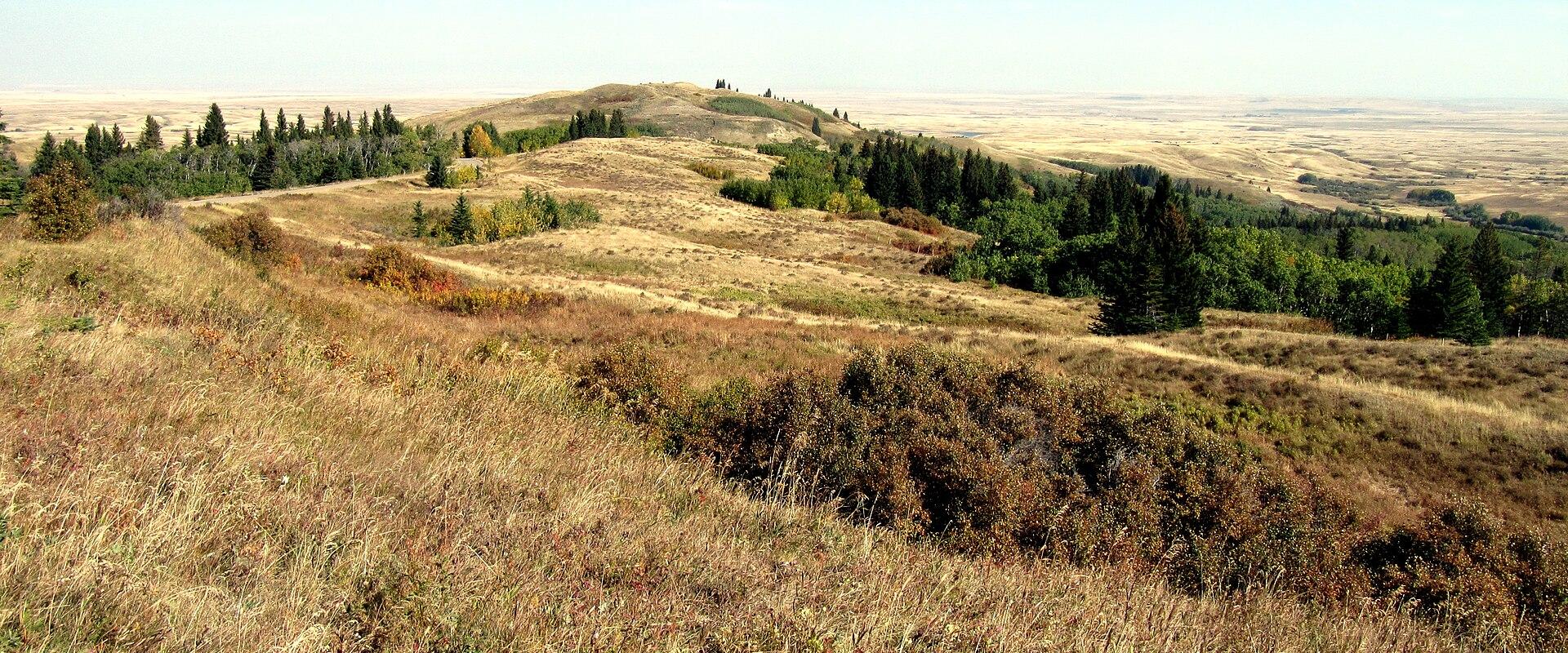 A landscape photograph showing rolling grassy hills with patches of coniferous forest under a clear blue sky, with a vast flat plain visible in the distance.
