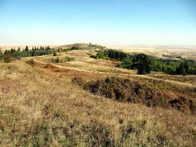 Hills