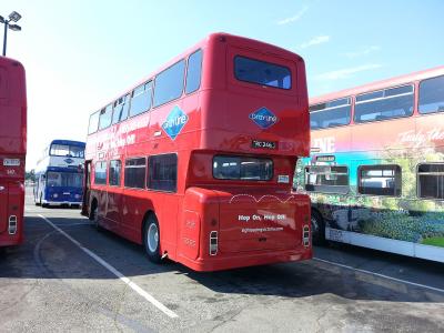 A red double-decker tour bus with "Gray Line" branding and the website "sightseeingvictoria.com" printed on the rear, parked in a lot with other buses.