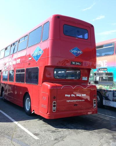 A red double-decker tour bus with "Gray Line" branding and the website "sightseeingvictoria.com" printed on the rear, parked in a lot with other buses.