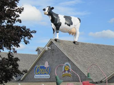 A large black and white cow statue standing on the roof of a building with grey shingles, featuring signage for "Cow's Prince Edward Island" and "Cavendish Chocolate".