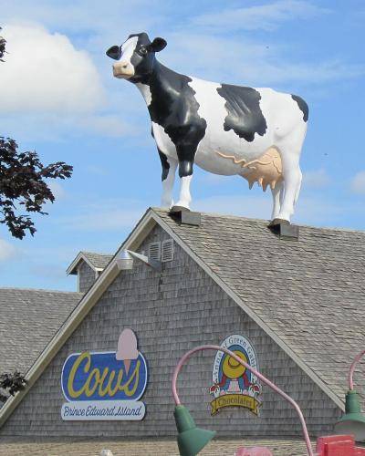 A large black and white cow statue standing on the roof of a building with grey shingles, featuring signage for "Cow's Prince Edward Island" and "Cavendish Chocolate".