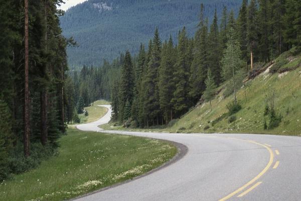 Bow Valley Parkway