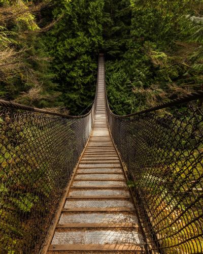 A long, narrow suspension footbridge with wooden planks and metal mesh railings extending into a dense, green forest canopy.