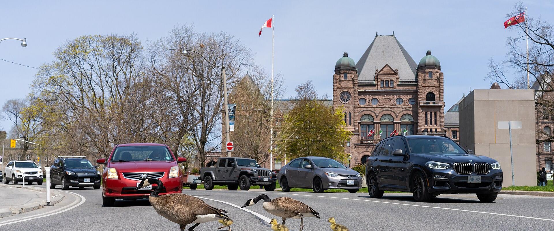 Spring in Toronto