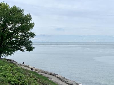 A view from a grassy, tree-lined embankment looking out over a large body of water towards a distant city skyline on the horizon.