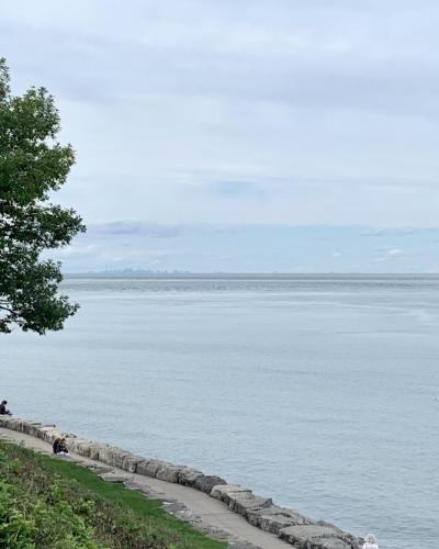 A view from a grassy, tree-lined embankment looking out over a large body of water towards a distant city skyline on the horizon.