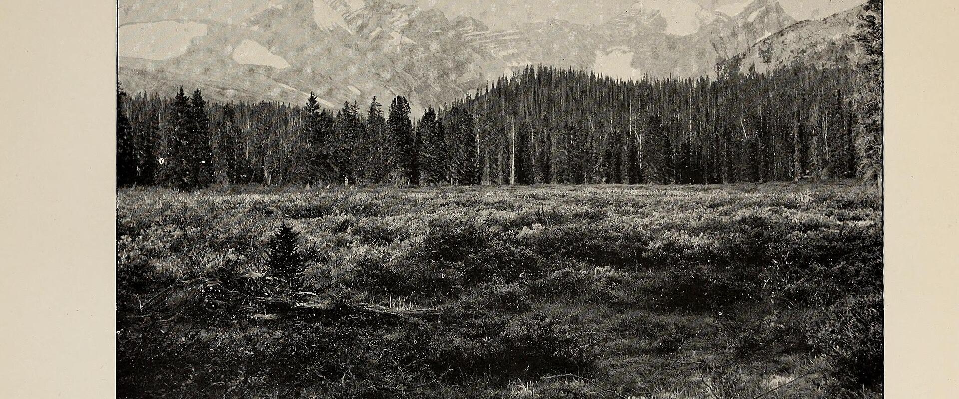 Exploring the Canadian Rockies