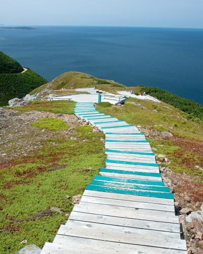 A wooden boardwalk with teal-painted edges winds along a grassy, rocky mountain ridge overlooking a large body of blue water and forested coastline.