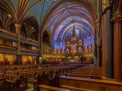 An ornate vaulted ceiling with blue and gold star patterns, ribbed arches, and three illuminated rose windows.