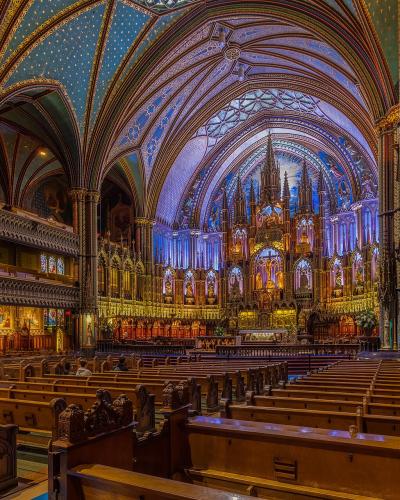 An ornate vaulted ceiling with blue and gold star patterns, ribbed arches, and three illuminated rose windows.