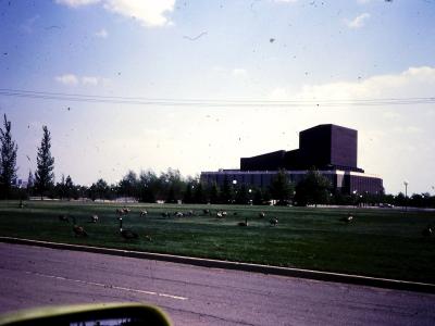 A large, modernist building with a distinctive dark, blocky upper section and a lower horizontal wing, viewed across a grassy field populated by geese.