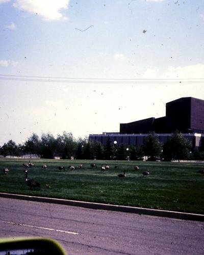A large, modernist building with a distinctive dark, blocky upper section and a lower horizontal wing, viewed across a grassy field populated by geese.