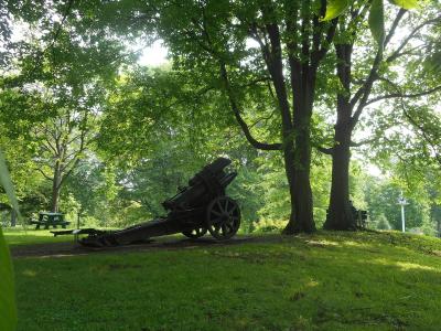 A historical cannon mounted on a carriage sits on a grassy slope under large trees, with a picnic table visible in the background.