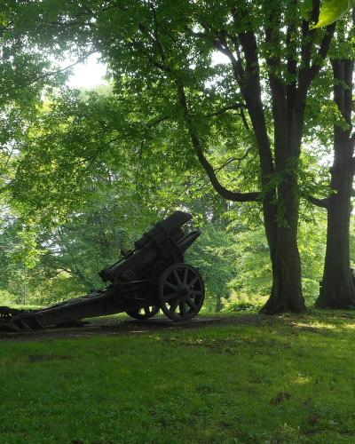 A historical cannon mounted on a carriage sits on a grassy slope under large trees, with a picnic table visible in the background.