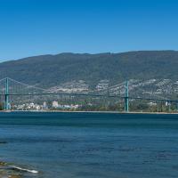 A wide shot of the Lions Gate Bridge spanning a body of water with forested mountains and a residential hillside in the background.