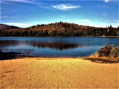 A sandy beach in the foreground leading to a calm lake, with a forested hill displaying autumn foliage in the background under a blue sky.