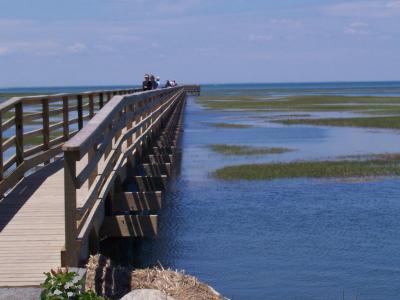 A long wooden boardwalk extending over a marshy body of water, with a few people walking on it and pink flowers in the foreground.