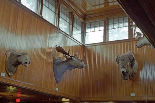 Banff Park Museum National Historic Site