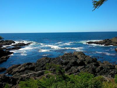 Rocky coast seen from the Wild Pacific Trail in Ucluelet