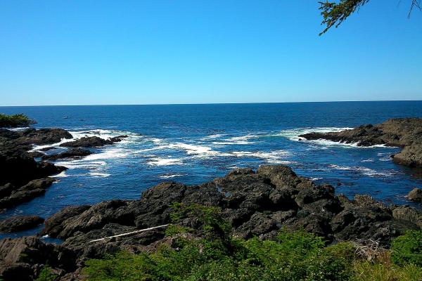 Wild Pacific Trail