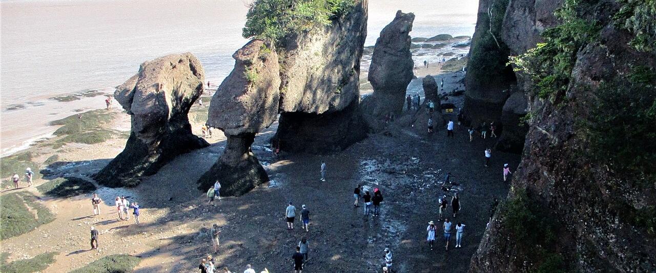 Visitors walking on the ocean floor among the flowerpot sea stacks at Hopewell Rocks at low tide