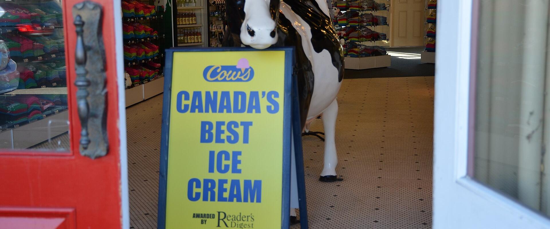 COWS Ice Cream