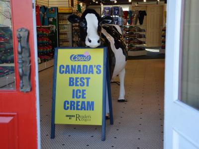 A view through a doorway into a shop featuring a large black and white cow statue and a yellow A-frame sign reading "Cow's CANADA'S BEST ICE CREAM".