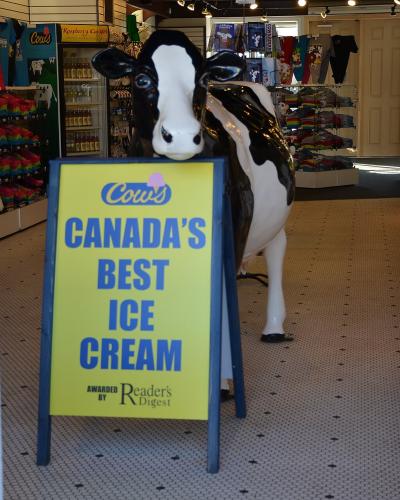 A view through a doorway into a shop featuring a large black and white cow statue and a yellow A-frame sign reading "Cow's CANADA'S BEST ICE CREAM".