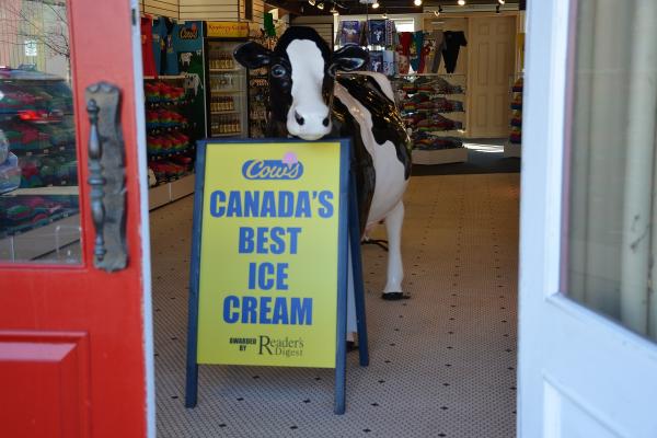 COWS Ice Cream