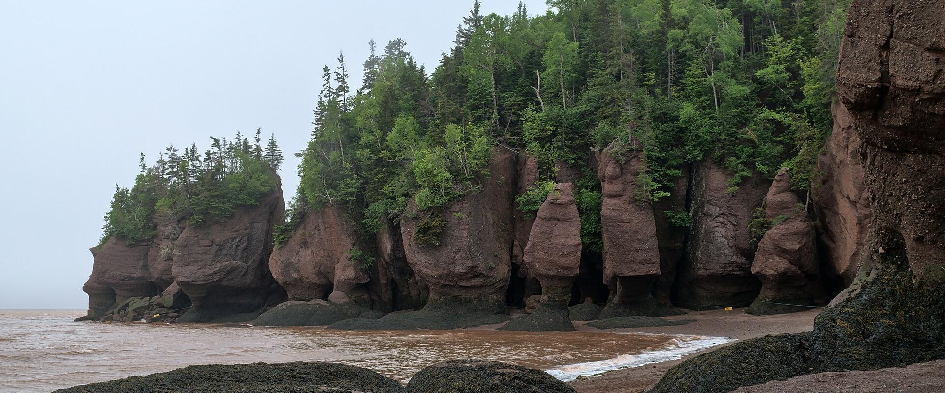 Sea stacks of the Hopewell Rocks on the Bay of Fundy
