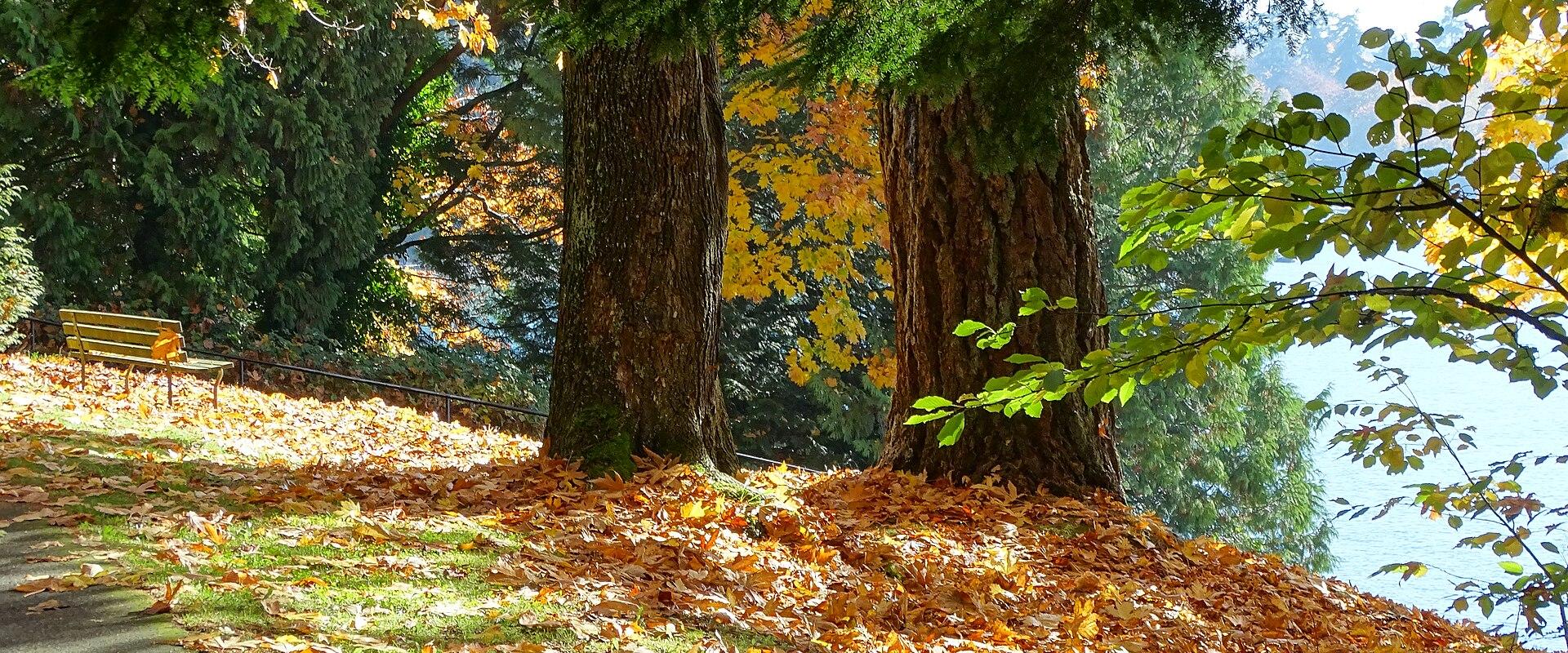 Autumn in Vancouver