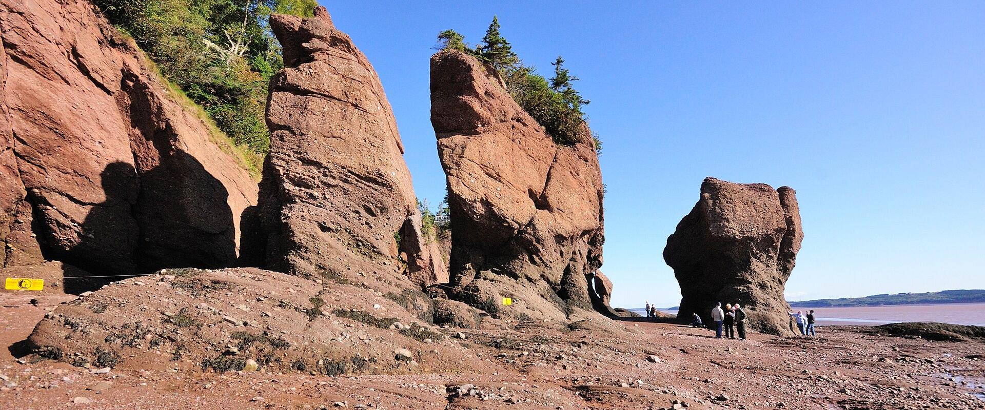 The flowerpot sea stacks of the Hopewell Rocks at low tide on the Bay of Fundy, New Brunswick