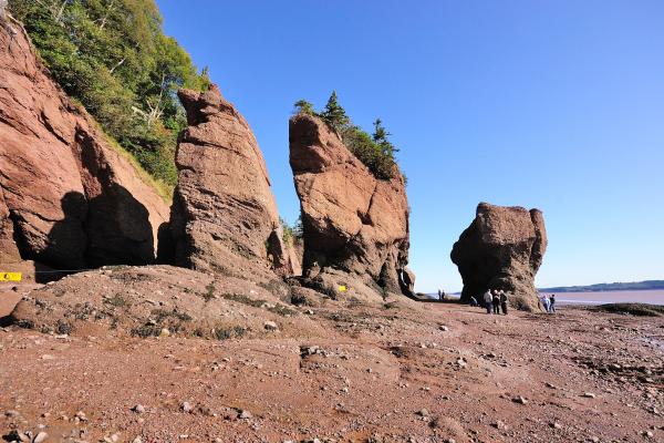 The flowerpot sea stacks of the Hopewell Rocks at low tide on the Bay of Fundy, New Brunswick