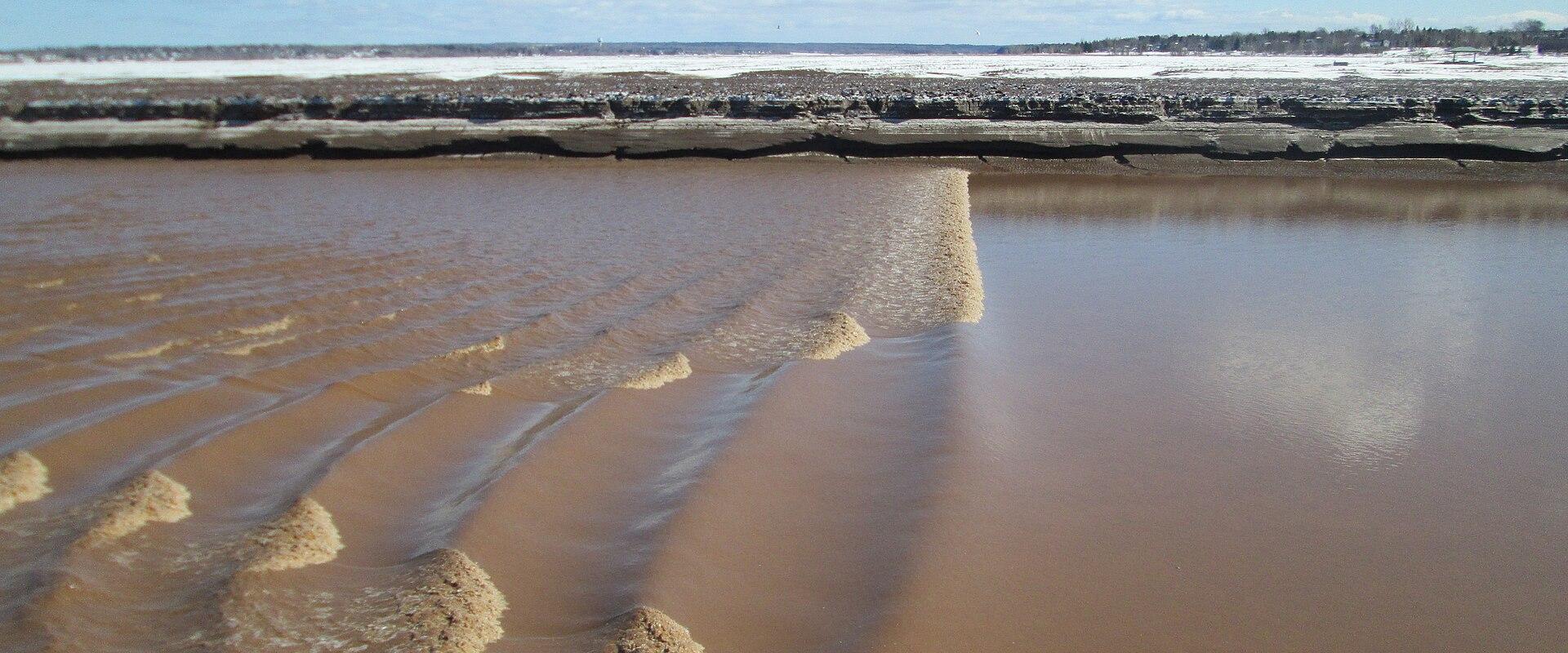 Petitcodiac Tides